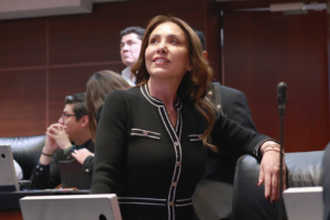 Cristina Ruiz Sandoval: si el PRI no representara nada, no lo atacarían todos los días