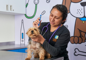 PRI Estado de México fortalece la protección animal con la apertura del primer consultorio PRIPet