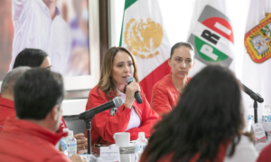 Cristina Ruiz participa en reunión nacional para fortalecer la organización del PRI